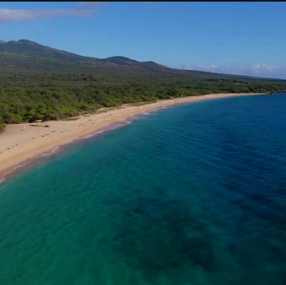 Meet your Posher, Melinda - Picture 1 of 1